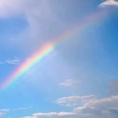 乐鱼APP下载手机版